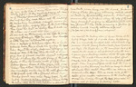 Alaska Notes, Summer of 1880, 1880 [ca. 1895], Image 5 by John Muir