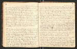 Alaska Notes, Summer of 1880, 1880 [ca. 1895], Image 6 by John Muir