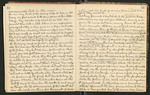 Alaska Notes, Summer of 1880, 1880 [ca. 1895], Image 18 by John Muir