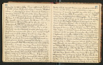 Alaska Notes, Summer of 1880, 1880 [ca. 1895], Image 32 by John Muir