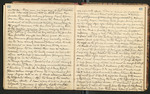 Alaska Notes, Summer of 1880, 1880 [ca. 1895], Image 33 by John Muir