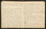 Alaska Notes, Summer of 1880, 1880 [ca. 1895], Image 43 by John Muir