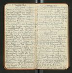 Amazon Notes, etc., [ca. 1911-1912], Image 18 by John Muir