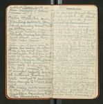 Amazon Notes, etc., [ca. 1911-1912], Image 19 by John Muir