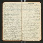 Amazon Notes, etc., [ca. 1911-1912], Image 22 by John Muir