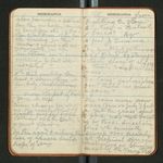 Amazon Notes, etc., [ca. 1911-1912], Image 25 by John Muir