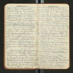 Amazon Notes, etc., [ca. 1911-1912], Image 26 by John Muir