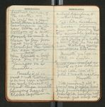 Amazon Notes, etc., [ca. 1911-1912], Image 28 by John Muir