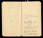 Sketches of Fossil Flora..., [ca. 1906], Image 6 by John Muir