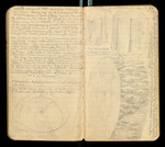 Sketches of Fossil Flora..., [ca. 1906], Image 13 by John Muir