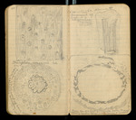 Sketches of Fossil Flora..., [ca. 1906], Image 22 by John Muir