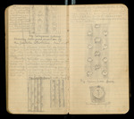Sketches of Fossil Flora..., [ca. 1906], Image 24 by John Muir