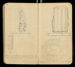 Sketches of Fossil Flora..., [ca. 1906], Image 26 by John Muir