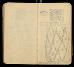 Sketches of Fossil Flora..., [ca. 1906], Image 28 by John Muir