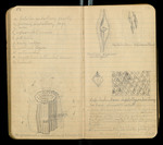 Sketches of Fossil Flora..., [ca. 1906], Image 30 by John Muir