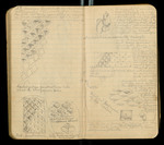 Sketches of Fossil Flora..., [ca. 1906], Image 31 by John Muir