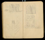 Sketches of Fossil Flora..., [ca. 1906], Image 32 by John Muir