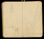 Sketches of Fossil Flora..., [ca. 1906], Image 34 by John Muir