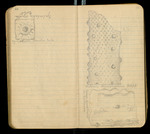 Sketches of Fossil Flora..., [ca. 1906], Image 35 by John Muir
