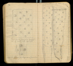 Sketches of Fossil Flora..., [ca. 1906], Image 39 by John Muir