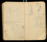 Sketches of Fossil Flora..., [ca. 1906], Image 41 by John Muir