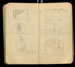 Sketches of Fossil Flora..., [ca. 1906], Image 42 by John Muir
