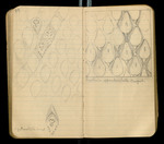 Sketches of Fossil Flora..., [ca. 1906], Image 43 by John Muir