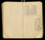 Sketches of Fossil Flora..., [ca. 1906], Image 45 by John Muir