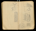 Sketches of Fossil Flora..., [ca. 1906], Image 48 by John Muir