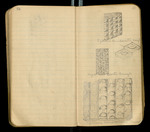 Sketches of Fossil Flora..., [ca. 1906], Image 49 by John Muir