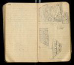 Sketches of Fossil Flora..., [ca. 1906], Image 53 by John Muir