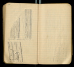 Sketches of Fossil Flora..., [ca. 1906], Image 55 by John Muir