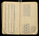 Sketches of Fossil Flora..., [ca. 1906], Image 56 by John Muir