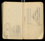 Sketches of Fossil Flora..., [ca. 1906], Image 57 by John Muir
