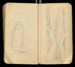 Sketches of Fossil Flora..., [ca. 1906], Image 62 by John Muir