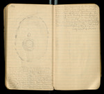 Sketches of Fossil Flora..., [ca. 1906], Image 64 by John Muir