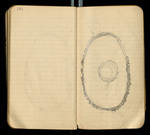 Sketches of Fossil Flora..., [ca. 1906], Image 65 by John Muir