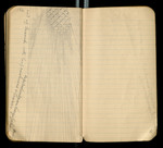 Sketches of Fossil Flora..., [ca. 1906], Image 68 by John Muir
