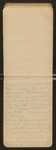 [Sargent's Silva], [ca. 1903], Image 42 by John Muir