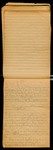 [STICKEEN], [CA. 1895], Image 63 by John Muir