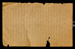 [STICKEEN], [CA. 1895], Image 117 by John Muir