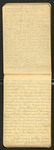Some Unused Notes on Camps, Walks, Death, [etc.]..., [ca. 1899], Image 31 by John Muir