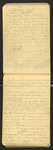 Some Unused Notes on Camps, Walks, Death, [etc.]..., [ca. 1899], Image 41 by John Muir