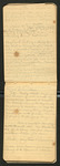 Some Unused Notes on Camps, Walks, Death, [etc.]..., [ca. 1899], Image 50 by John Muir
