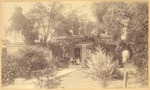 John, Louie, Wanda, and Helen Muir with unidentified woman at Coleman home, Martinez, California by J. G. Lemon