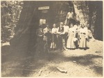 John Muir (fourth from left) probably with Sierra Club group at the General Sherman tree, Sequoia National Park, California