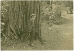John Muir at Muir Woods, California by Herbert W. Gleason