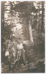 John Muir at Little Kern River, California by Edward Hughes