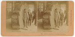 8144. California Redwood, Columbian Exposition. [John Muir?] and [A. H. Sellers?] by B. W. Kilburn
