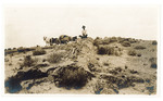 John Muir sitting on tree trunk in desert near cart and horse by unidentified